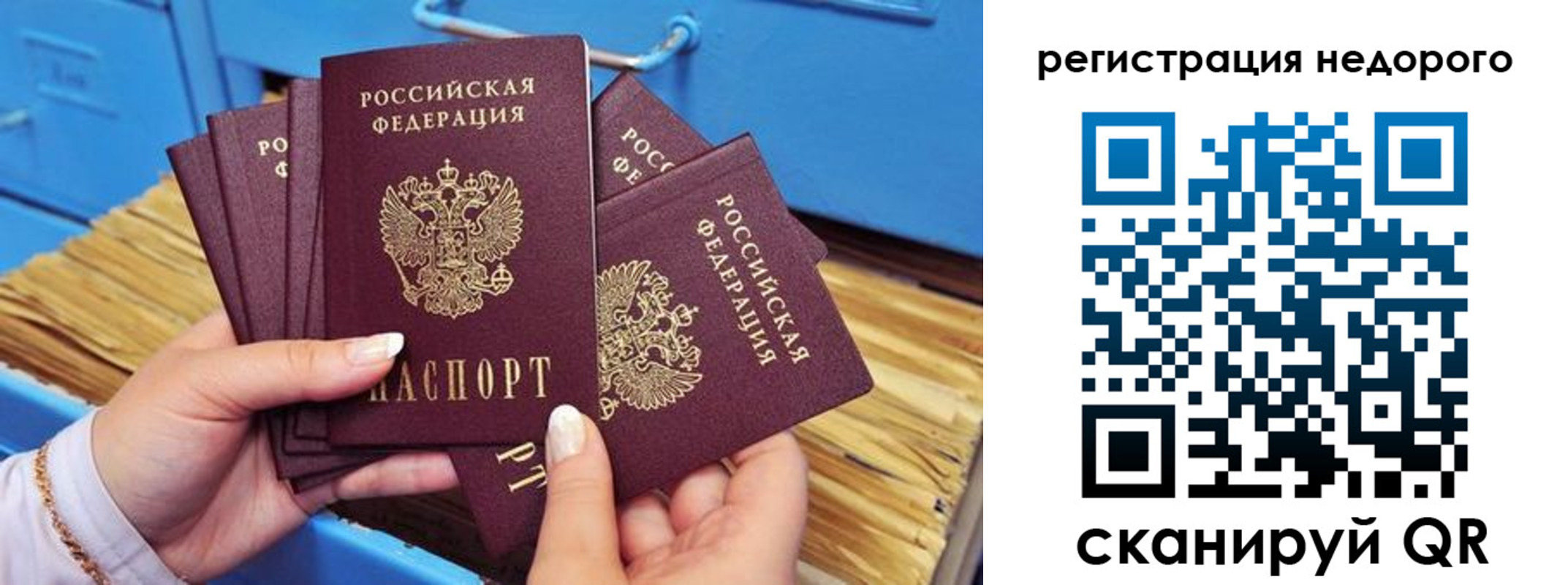 прописка паспорт в Сафоново